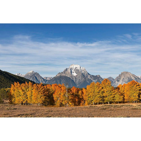 Autumn view of Mount Moran and Snake River-Grand Teton National Park-Wyoming Gold Ornate Wood Framed Art Print with Double Matting by Jones, Adam