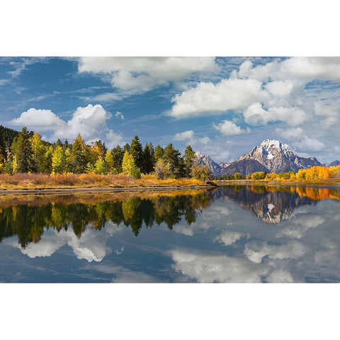 Autumn view of Mount Moran and Snake River-Grand Teton National Park-Wyoming Black Modern Wood Framed Art Print by Jones, Adam