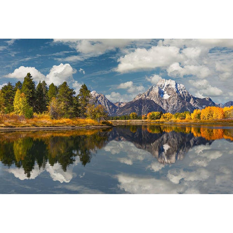 Autumn view of Mount Moran and Snake River-Grand Teton National Park-Wyoming Black Modern Wood Framed Art Print by Jones, Adam
