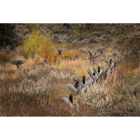 Rail fence in autumn-Grand Teton National Park-Wyoming Black Modern Wood Framed Art Print by Jones, Adam