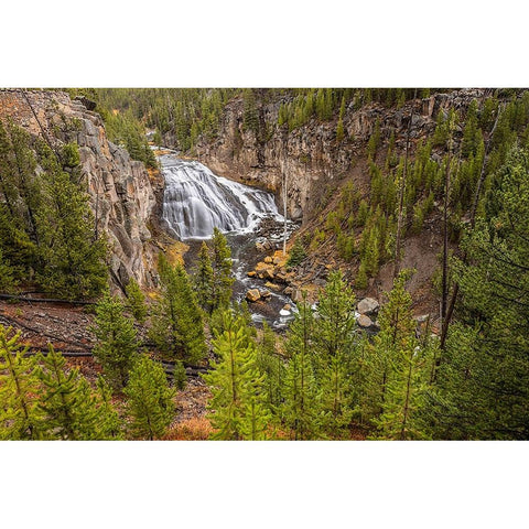 Gibbon Falls-Yellowstone National Park-Wyoming Gold Ornate Wood Framed Art Print with Double Matting by Jones, Adam