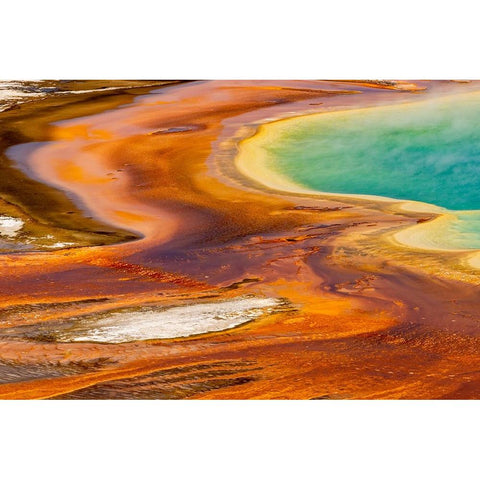 Elevated view of patterns in bacterial mat around Grand Prismatic spring Black Modern Wood Framed Art Print by Jones, Adam