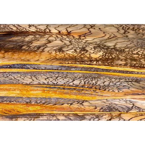 Elevated view of patterns in bacterial mat around Grand Prismatic spring Black Modern Wood Framed Art Print by Jones, Adam