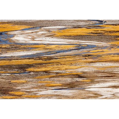 Elevated view of patterns in bacterial mat around Grand Prismatic spring Black Modern Wood Framed Art Print by Jones, Adam