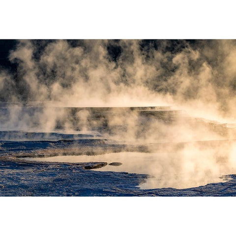 Canary Spring and steaming mist at sunrise-Mammoth Hot Springs-Yellowstone National Park-Wyoming Black Modern Wood Framed Art Print by Jones, Adam