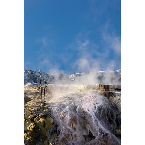 Colorful travertine slope with yellow and brown cyanobacteria-Mammoth Hot Springs Black Modern Wood Framed Art Print by Jones, Adam