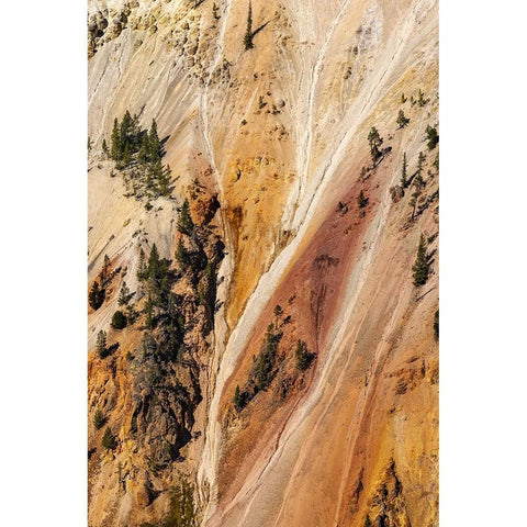 Steep colorful canyon walls of hydrothermally altered rhyolite-Grand Canon of the Yellowstone Gold Ornate Wood Framed Art Print with Double Matting by Jones, Adam