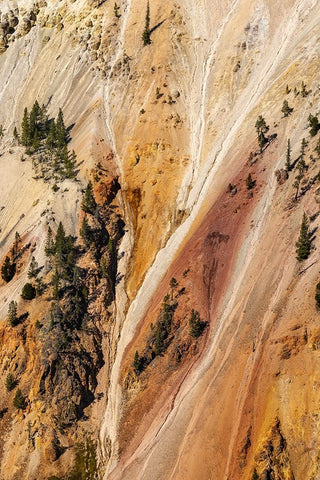 Steep colorful canyon walls of hydrothermally altered rhyolite-Grand Canon of the Yellowstone Black Ornate Wood Framed Art Print with Double Matting by Jones, Adam