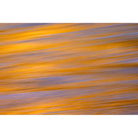 Sunset colors and trees reflecting on Snake River-Grand Teton National Park-Wyoming Black Modern Wood Framed Art Print with Double Matting by Jones, Adam