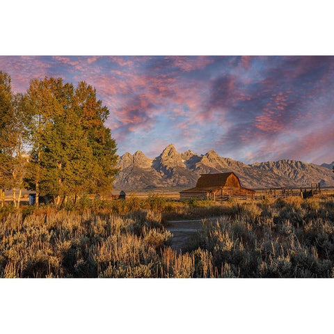 Moulton barn at sunrise and Teton Range-Grand Teton National Park-Wyoming Black Modern Wood Framed Art Print by Jones, Adam