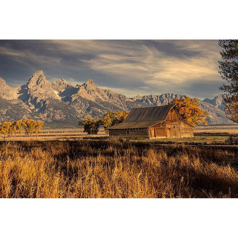 Moulton barn at sunrise and Teton Range-Grand Teton National Park-Wyoming Black Modern Wood Framed Art Print with Double Matting by Jones, Adam