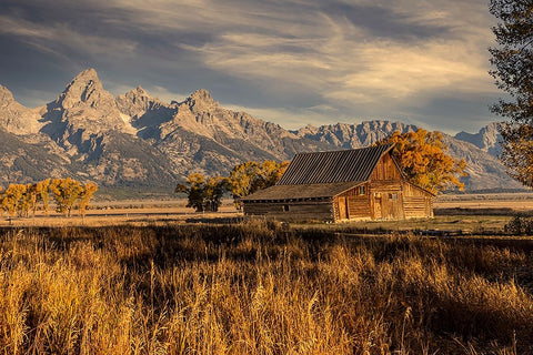 Moulton barn at sunrise and Teton Range-Grand Teton National Park-Wyoming Black Ornate Wood Framed Art Print with Double Matting by Jones, Adam