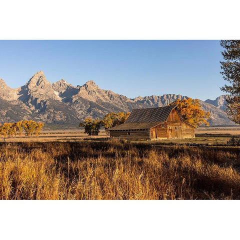 Moulton barn at sunrise and Teton Range-Grand Teton National Park-Wyoming Black Modern Wood Framed Art Print by Jones, Adam