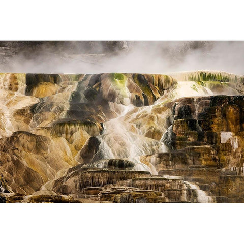 Colorful travertine slope with yellow and brown cyanobacteria-Mammoth Hot Springs Black Modern Wood Framed Art Print by Jones, Adam