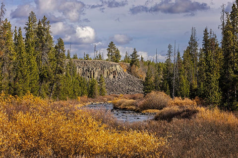 Columnar basalt formation at Sheepeater Cliffs-Yellowstone National Park-Wyoming Black Ornate Wood Framed Art Print with Double Matting by Jones, Adam