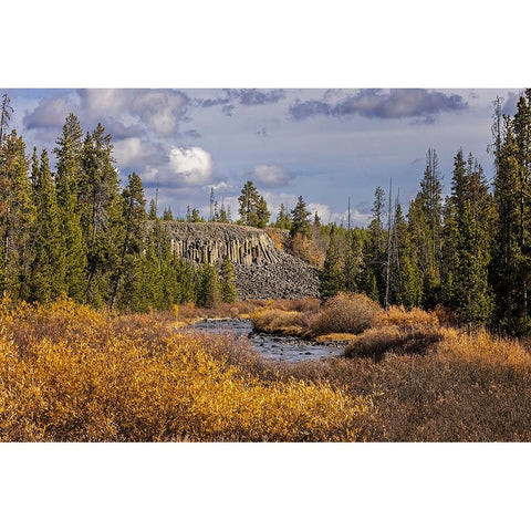 Columnar basalt formation at Sheepeater Cliffs-Yellowstone National Park-Wyoming Black Modern Wood Framed Art Print by Jones, Adam
