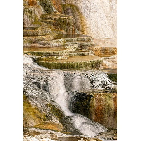 Canary Spring terraces at sunrise-Mammoth Hot Springs-Yellowstone National Park-Wyoming Black Modern Wood Framed Art Print by Jones, Adam