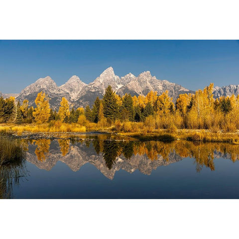 Teton Range from Schwabacher Landing-Grand Teton National Park-Wyoming Gold Ornate Wood Framed Art Print with Double Matting by Jones, Adam