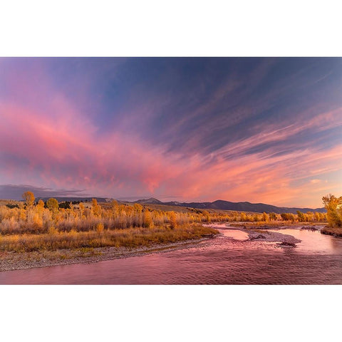 Golden cottonwood and aspen trees at sunset Gros Ventre River-Grand Teton National Park-Wyoming Gold Ornate Wood Framed Art Print with Double Matting by Jones, Adam