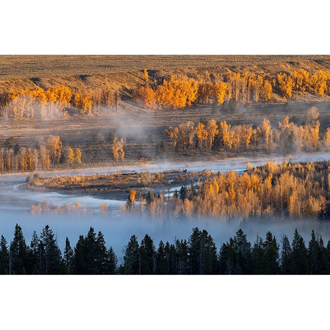 Elevated view of aspen and cottonwood trees mist along Snake River-Grand Teton National Park-Wyoming Black Modern Wood Framed Art Print by Jones, Adam