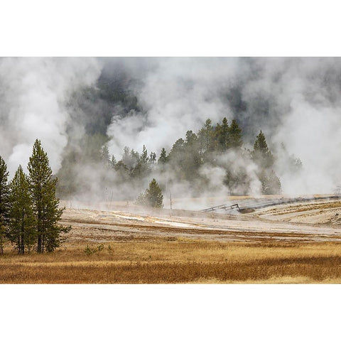 Grasses and mist in autumn meadow-Upper Geyser Basin-Yellowstone National Park-Wyoming Black Modern Wood Framed Art Print by Jones, Adam