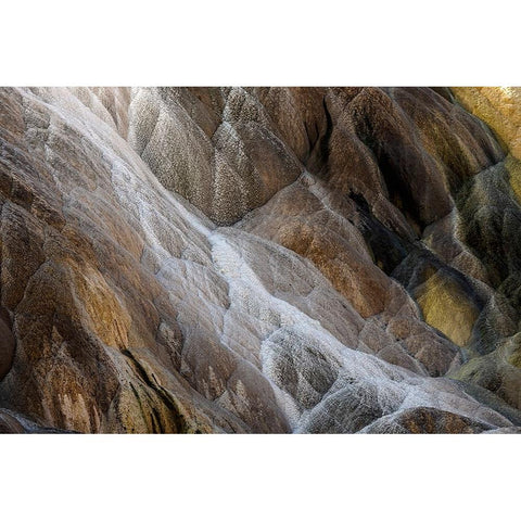 Colorful travertine slope with yellow and brown cyanobacteria-Mammoth Hot Springs Black Modern Wood Framed Art Print by Jones, Adam