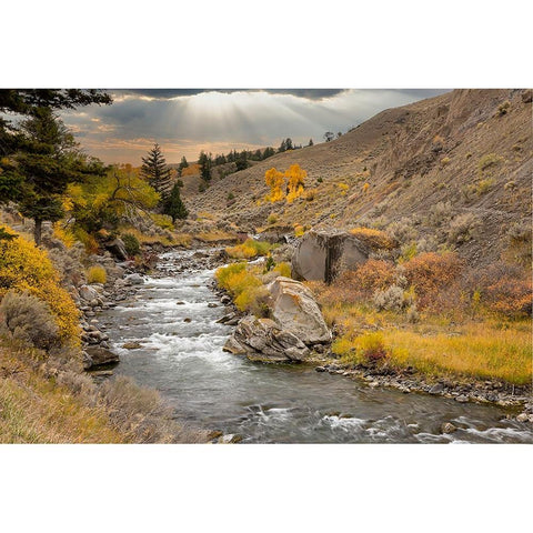 Gardiner River-Yellowstone National Park-Wyoming Black Modern Wood Framed Art Print by Jones, Adam
