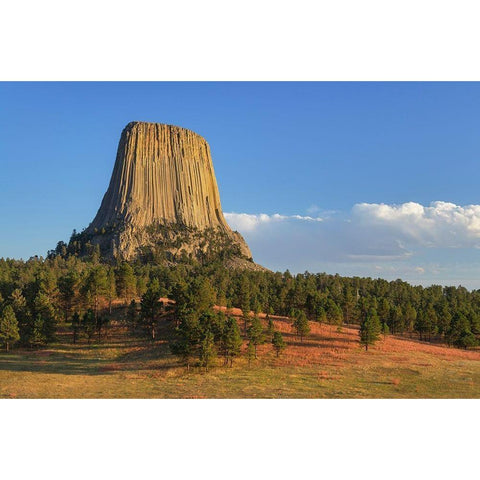 Devils Tower National Monument-Wyoming White Modern Wood Framed Art Print by Majchrowicz, Alan