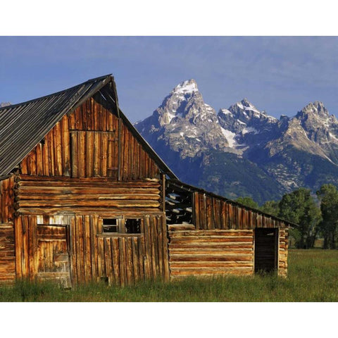 WY, Grand Tetons A weathered wooden barn Gold Ornate Wood Framed Art Print with Double Matting by Flaherty, Dennis