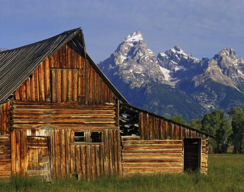 WY, Grand Tetons A weathered wooden barn White Modern Wood Framed Art Print with Double Matting by Flaherty, Dennis