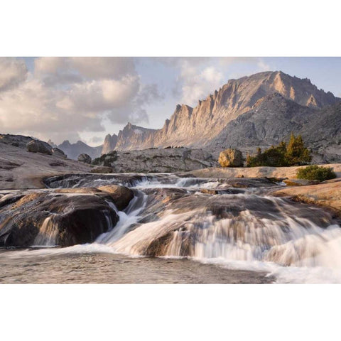 WY, Bridger NF Rapids and Fremont Peak Gold Ornate Wood Framed Art Print with Double Matting by Paulson, Don