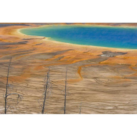 WY, Yellowstone Colorful Grand Prismatic Spring White Modern Wood Framed Art Print by Paulson, Don