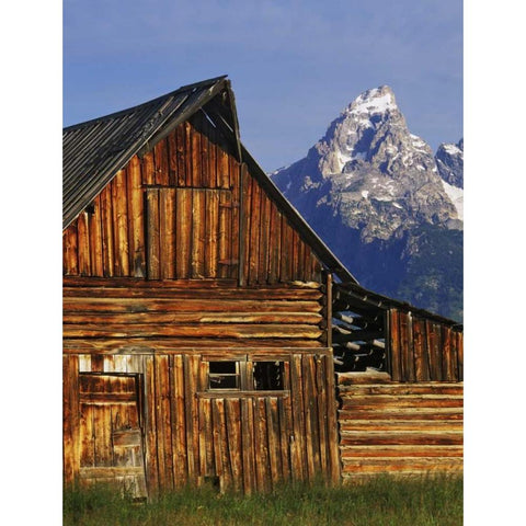 WY, Grand Tetons Dilapidated barn by Mormon Row Gold Ornate Wood Framed Art Print with Double Matting by Flaherty, Dennis