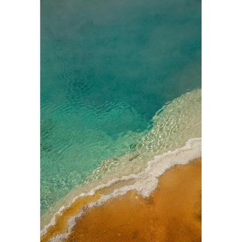 WY, Yellowstone Thermophilic algae in Black Pool Gold Ornate Wood Framed Art Print with Double Matting by Grall, Don