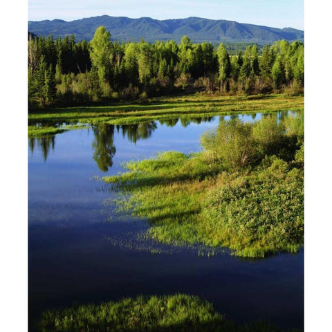 WY, Grand Tetons A Meadow in the Grand Tetons Black Modern Wood Framed Art Print with Double Matting by Talbot Frank, Christopher