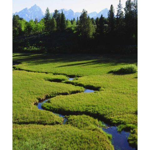 WY, Grand Tetons above a lush meadow Black Modern Wood Framed Art Print by Talbot Frank, Christopher