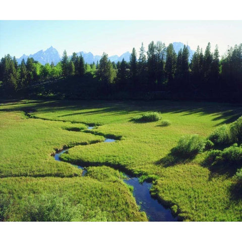 WY, Grand Tetons Grand Tetons and a lush meadow Black Modern Wood Framed Art Print with Double Matting by Talbot Frank, Christopher