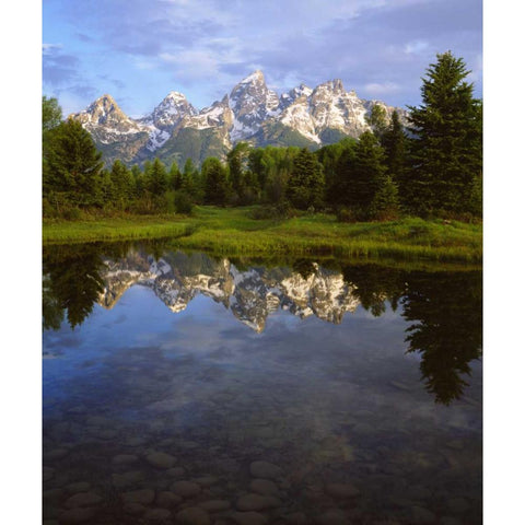 Wyoming Grand Tetons reflect in the Snake River White Modern Wood Framed Art Print by Talbot Frank, Christopher