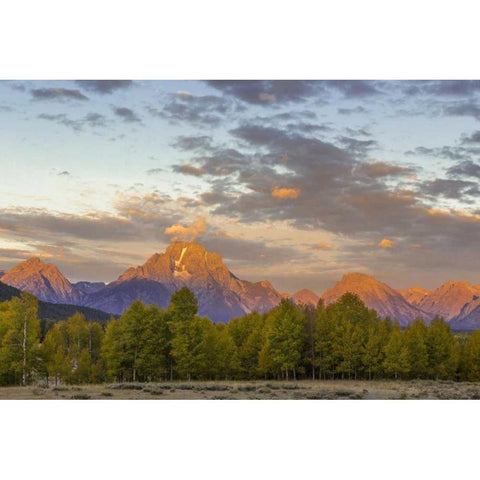 WY Mount Moran and Teton Range at sunrise White Modern Wood Framed Art Print by Paulson, Don