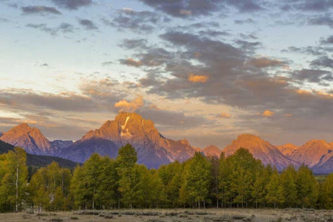 WY Mount Moran and Teton Range at sunrise White Modern Wood Framed Art Print with Double Matting by Paulson, Don