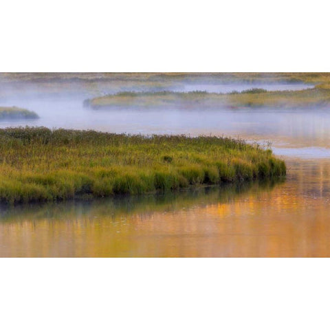 Wyoming, Yellowstone Morning at Madison River Gold Ornate Wood Framed Art Print with Double Matting by Paulson, Don