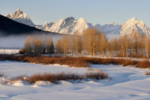 Wyoming, Grand Tetons NP Oxbow Bend in winter Black Ornate Wood Framed Art Print with Double Matting by Bush, Marie