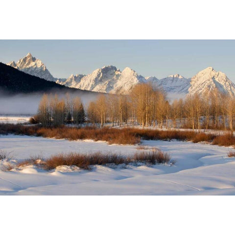 Wyoming, Grand Tetons NP Oxbow Bend in winter Black Modern Wood Framed Art Print with Double Matting by Bush, Marie