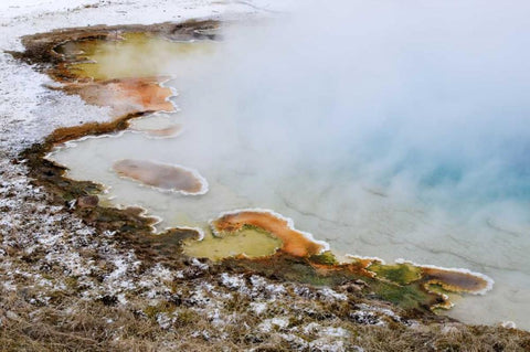 USA, Wyoming, Yellowstone NP Silex Spring pool Black Ornate Wood Framed Art Print with Double Matting by Bush, Marie