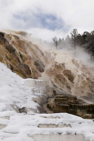 Wyoming, Yellowstone Mammoth Hot Springs scenic White Modern Wood Framed Art Print with Double Matting by Bush, Marie