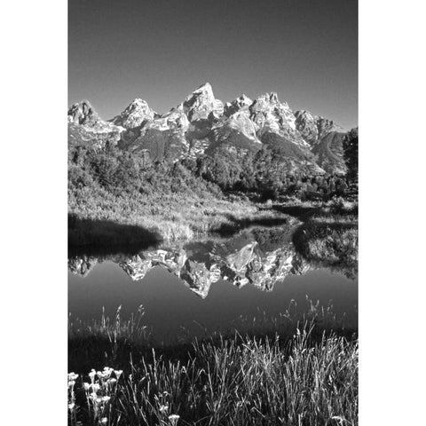 USA, Wyoming, Grand Teton NP Mountain sunrise Gold Ornate Wood Framed Art Print with Double Matting by Flaherty, Dennis