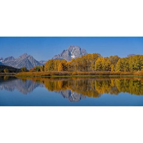 USA-Wyoming-Grand Teton National Park Panoramic of  reflected in Oxbow Bend in autumn Black Modern Wood Framed Art Print by Jaynes Gallery