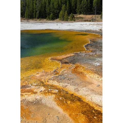 USA-Wyoming-Yellowstone National Park-Black Sand Basin-Emerald Pool-Green pool with yellow thermopi White Modern Wood Framed Art Print by Hopkins, Cindy Miller
