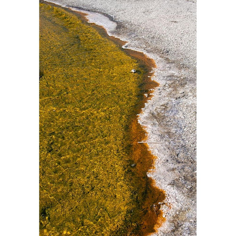 USA-Wyoming-Yellowstone National Park-Biscuit Basin-Sapphire Pool-colorful thermophile river and ba Black Modern Wood Framed Art Print by Hopkins, Cindy Miller