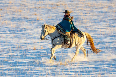 USA- Shell- Wyoming. Hideout Ranch cowgirl riding her horse in the snow.  Black Modern Wood Framed Art Print by Gulin, Darrell